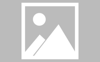 德阳新区景区网站建设（in art criticism,you must assume）